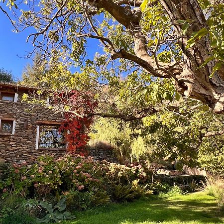 La Casa Del Nogal Villa Guejar-Sierra Bagian luar foto