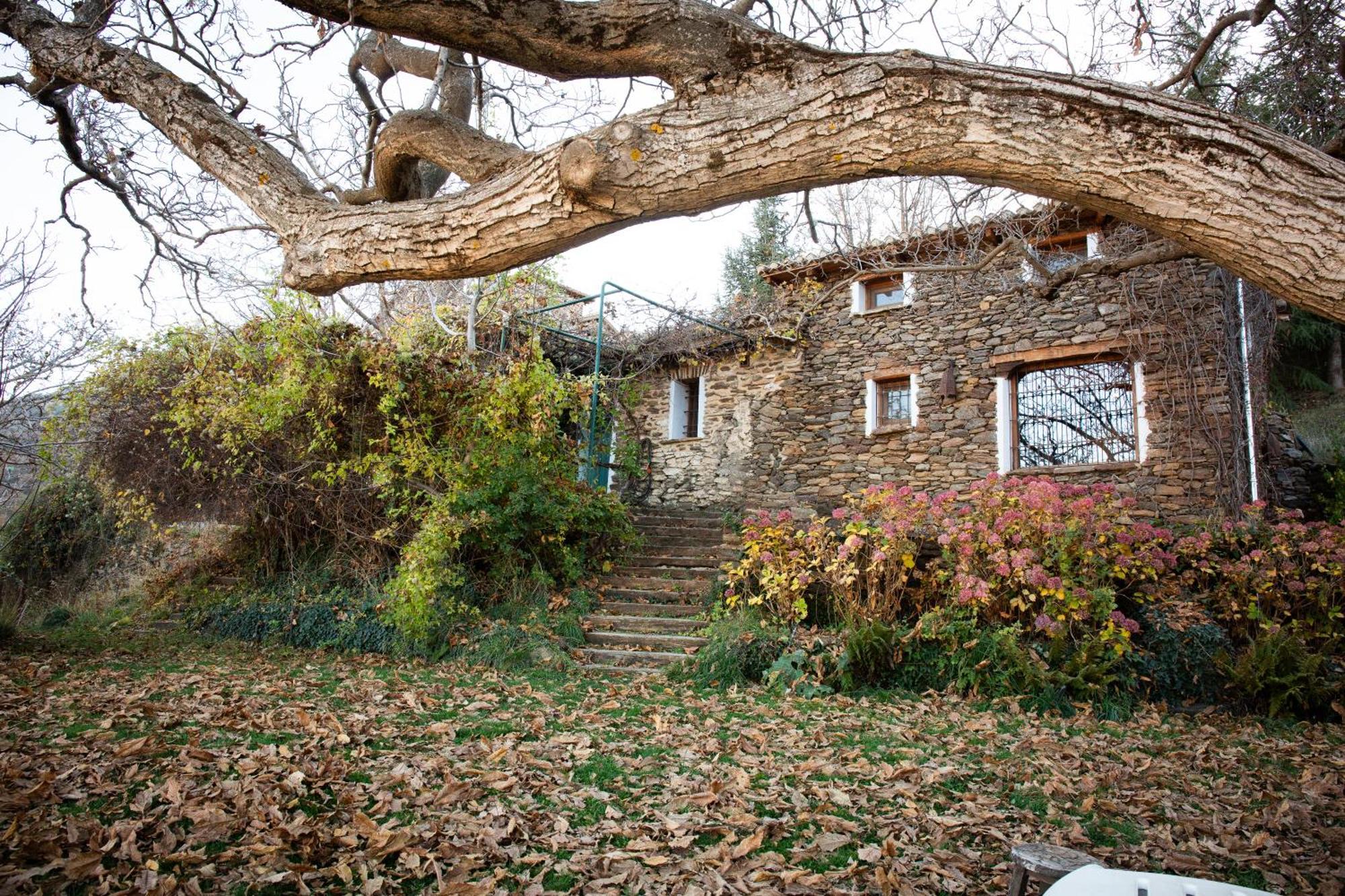 La Casa Del Nogal Villa Guejar-Sierra Bagian luar foto