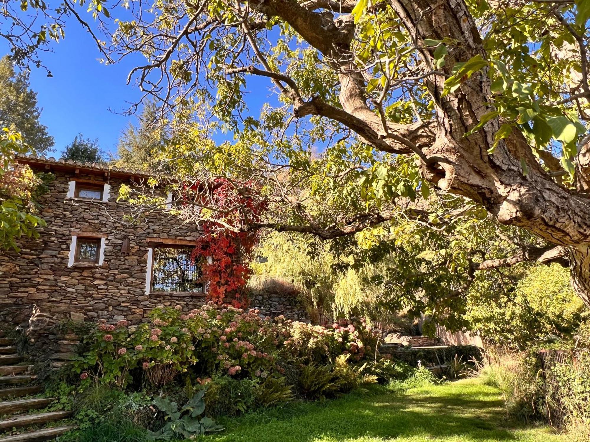 La Casa Del Nogal Villa Guejar-Sierra Bagian luar foto